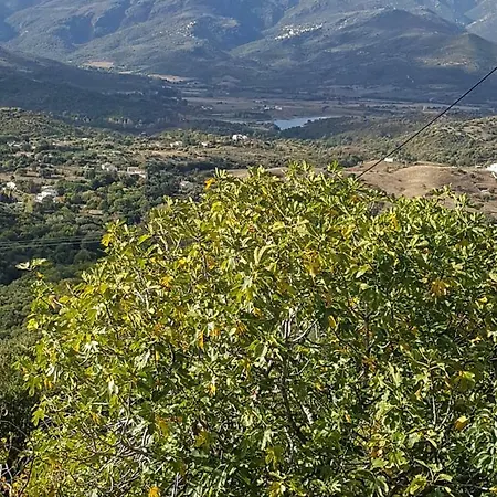 Douceur Et Serenite Lägenhet Poggio-d'Oletta